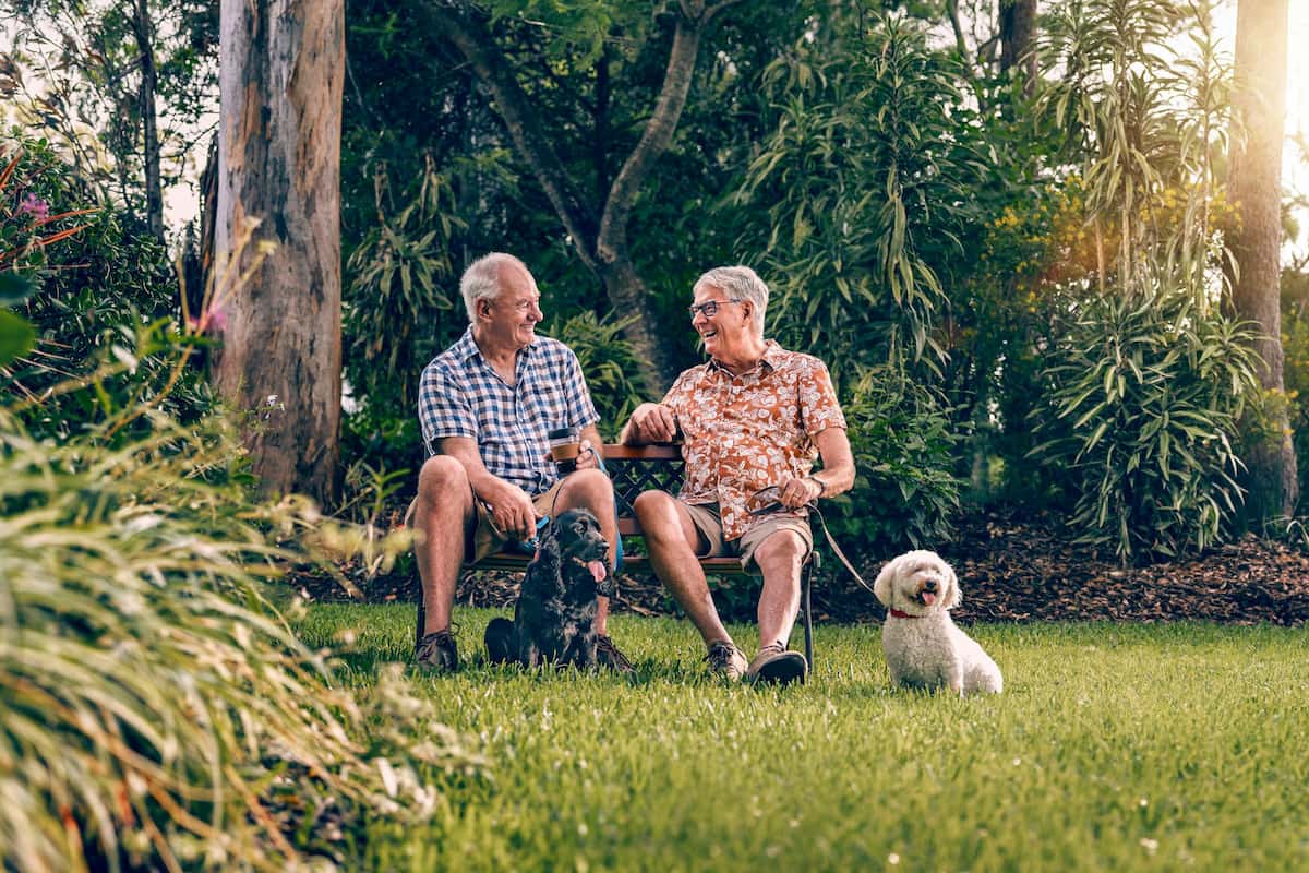 Men sitting on bench outdoors chatting with dogs