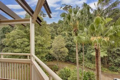 337/79 Cabbage Tree Road