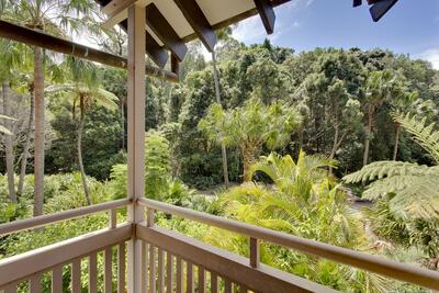 327/79 Cabbage Tree Road