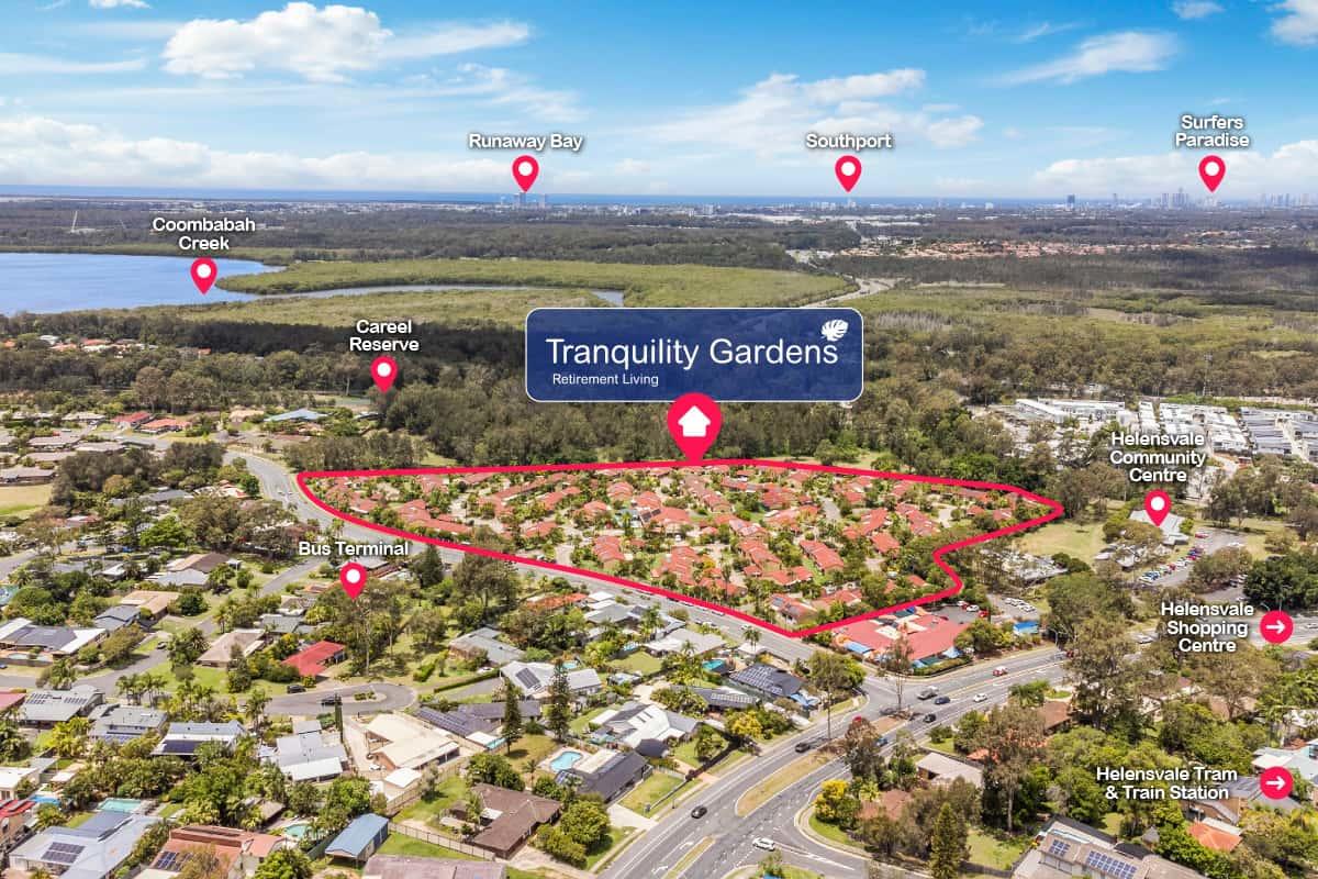 Gallery item image 2